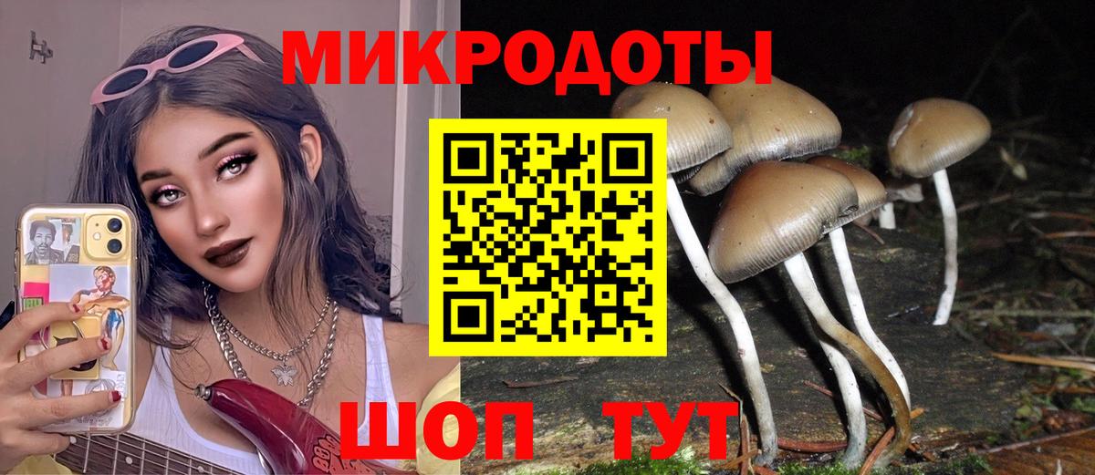 Ялта  Галлюциногенные грибы Cubensis  сколько стоит  Вход с VPN 